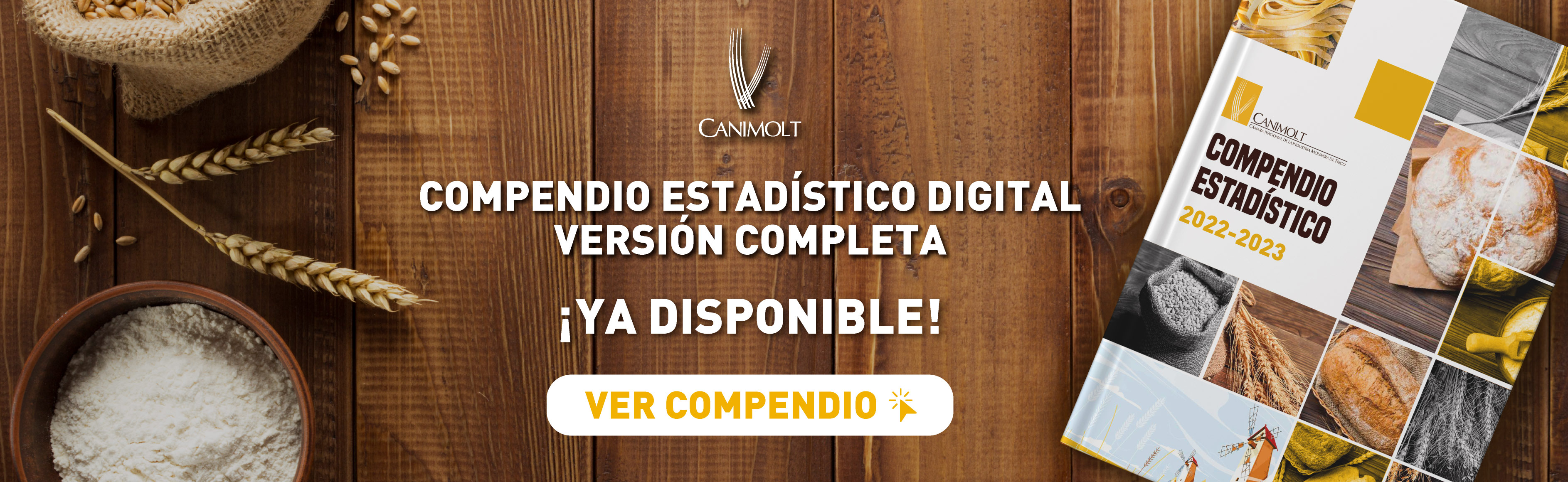 Compendio1